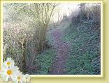 Reconnaisse_LeQuesnoy (1)